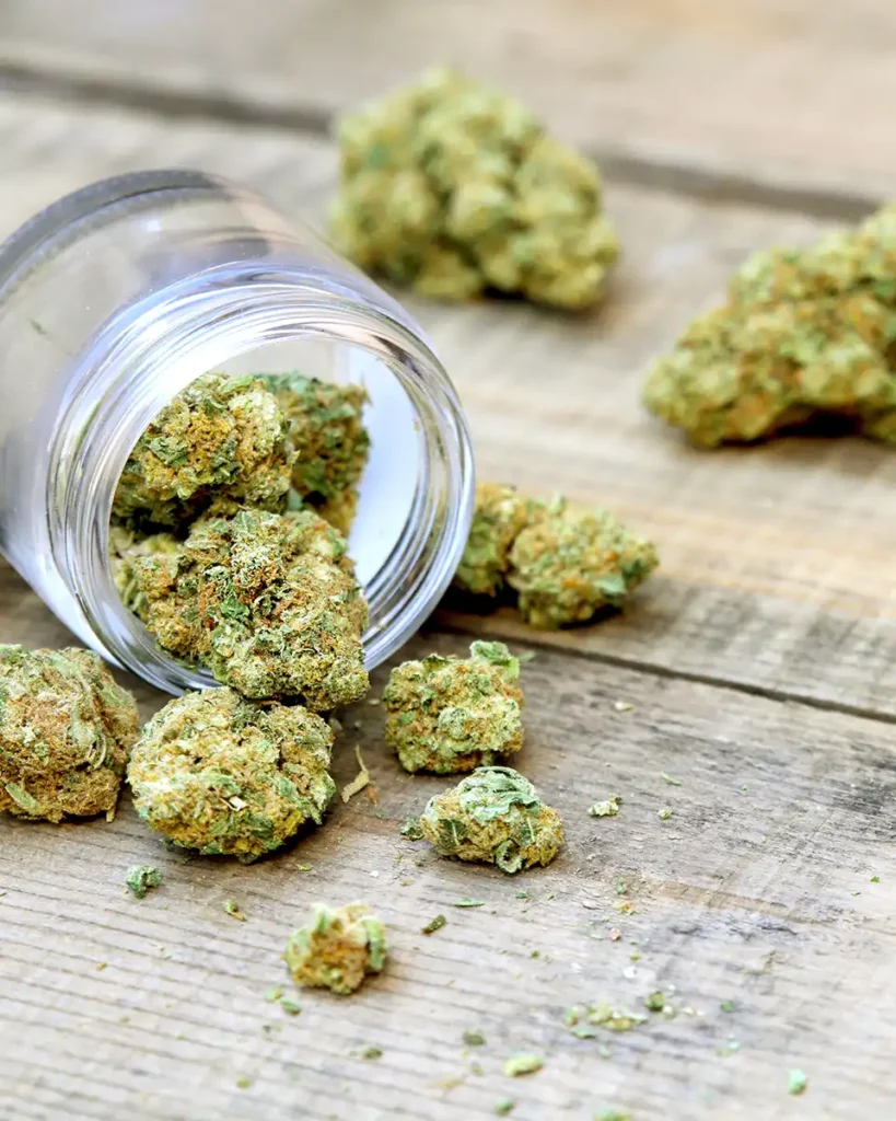 Niagara Herbalist Flower Category Image